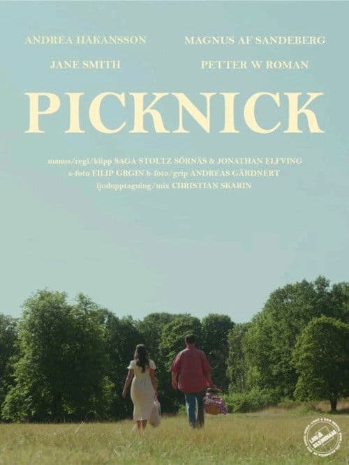 Picknick poster