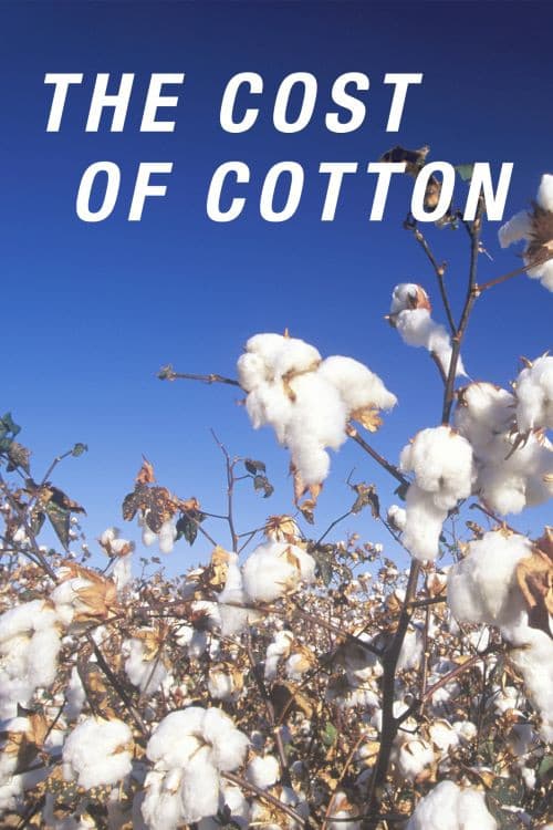 The Cost of Cotton poster