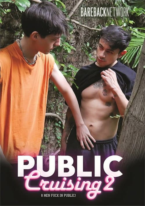 Public Cruising 2 poster