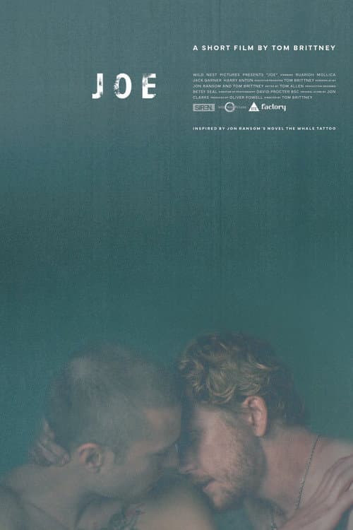 Joe poster