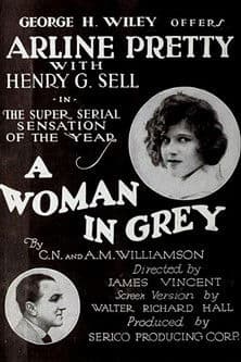 A Woman in Grey poster