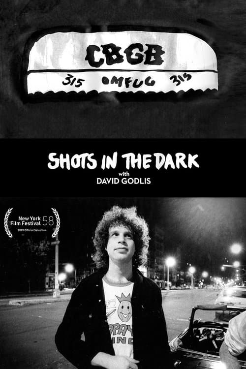 Shots in the Dark with David Godlis poster