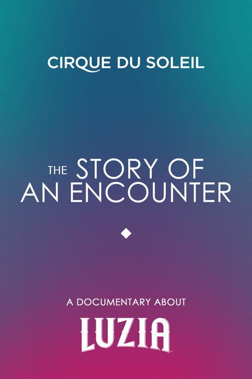 The Story Of An Encounter poster