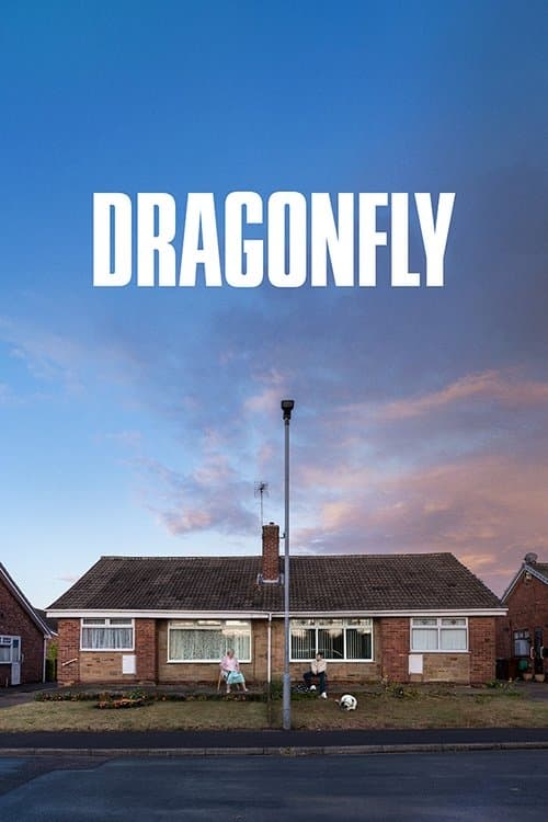 Dragonfly poster