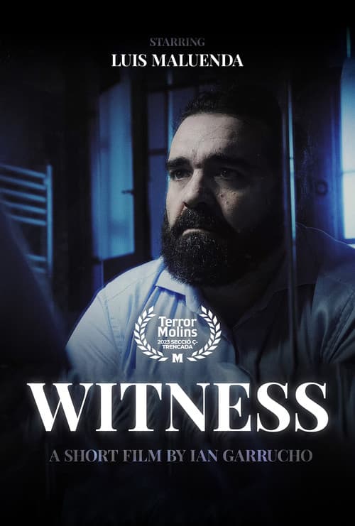 Witness poster