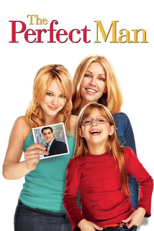 The Perfect Man poster