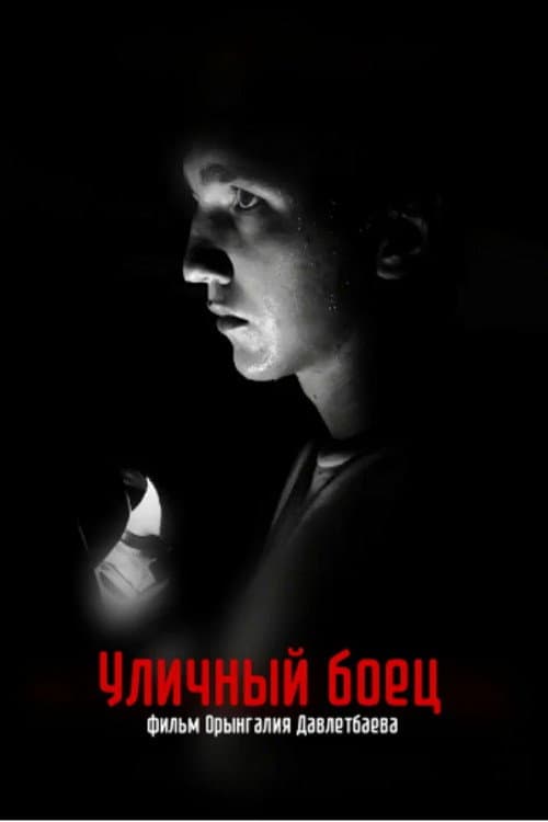 Уличный боец poster