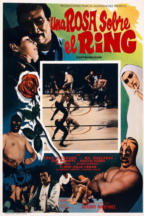 A Rose in the Ring poster