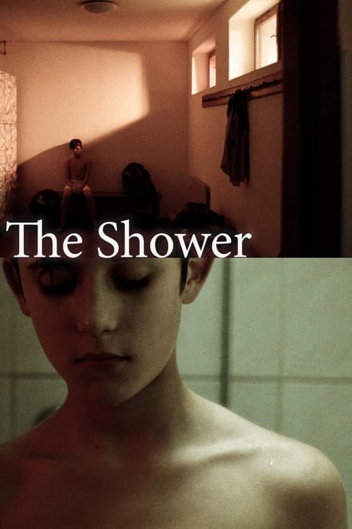 The Shower poster