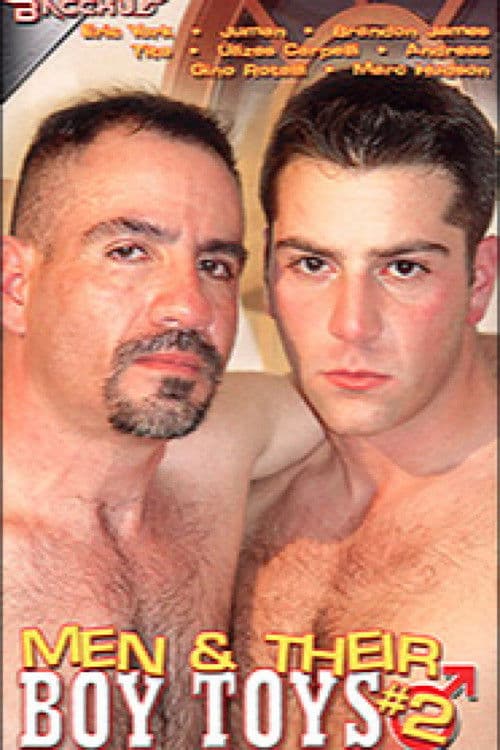 Men & Their Boy Toys 2 poster