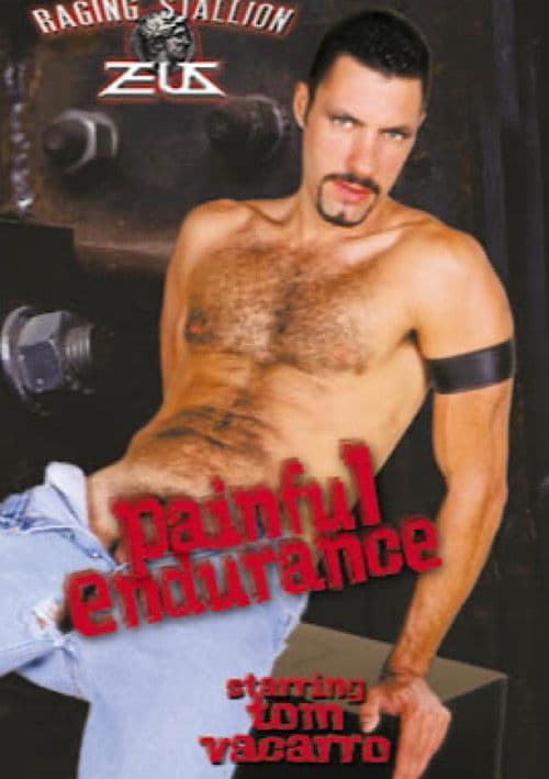 Painful Endurance poster