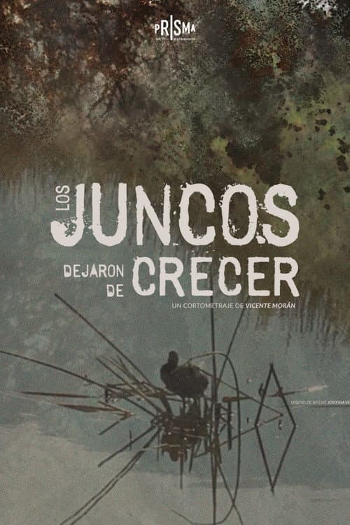 The Reeds Stopped Growing poster