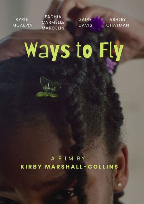 Ways to Fly poster