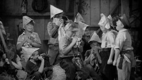 Fightin' Fools poster