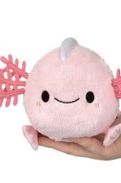 Callie Zwicker profile photo