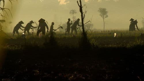 Shaping The Future poster