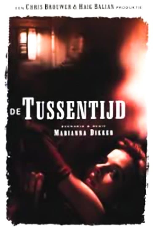 De tussentijd poster