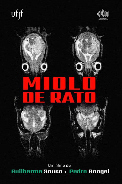 Miolo de Rato poster