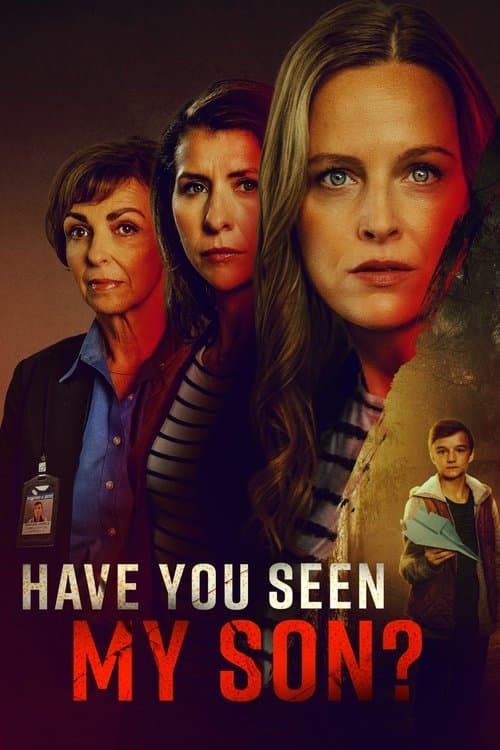 Have You Seen My Son? poster