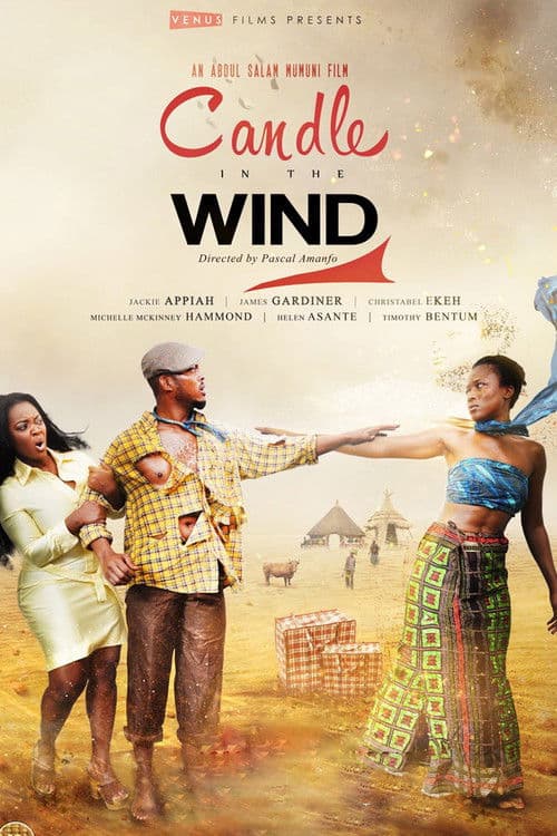 Candle in the Wind poster