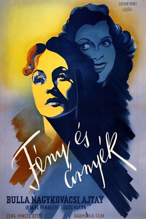 Light and Shadow poster