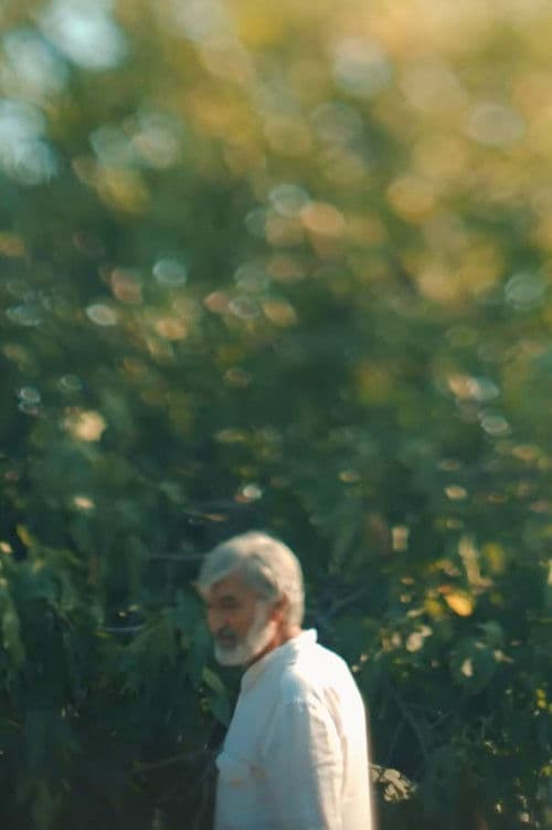 Baku Diaries 3: Memory poster