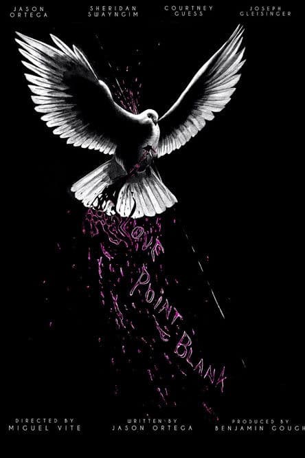 Love Point Blank poster