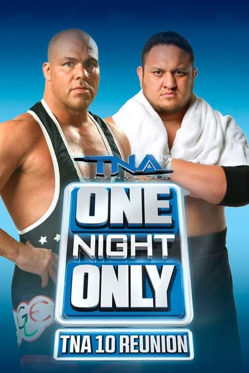 TNA One Night Only: 10 Reunion 2013 poster