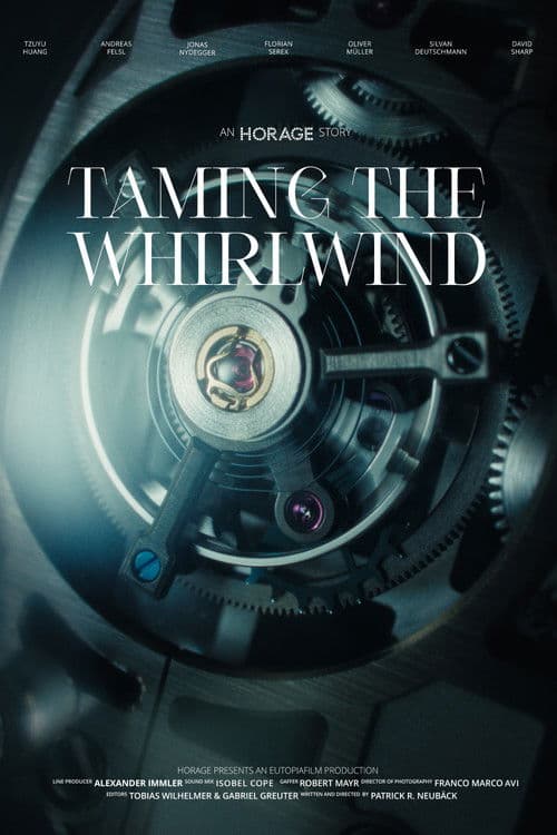 Taming the Whirlwind poster