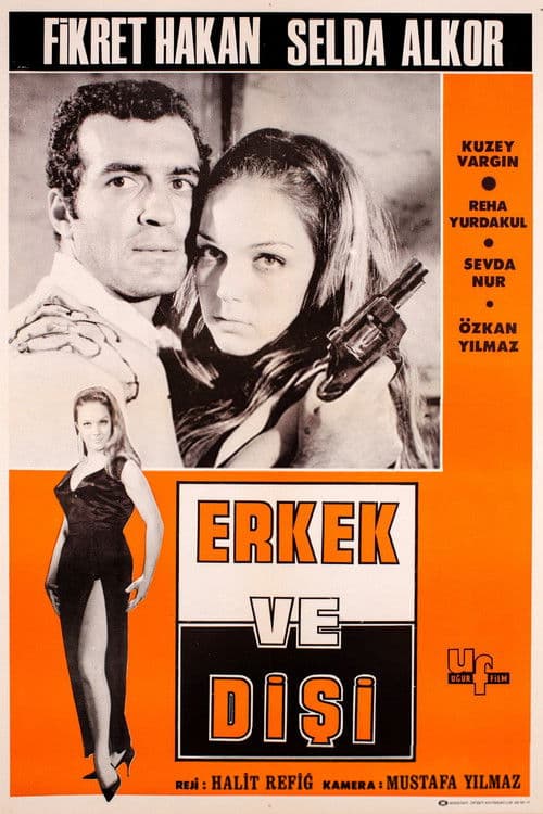 Erkek ve Dişi poster