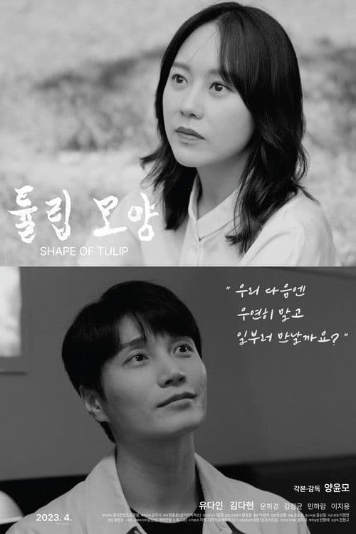 Shape of Tulip poster