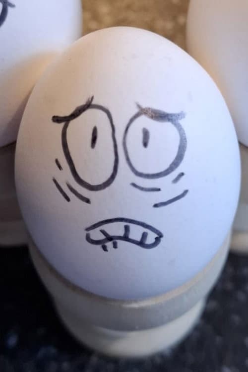 Eggson profile photo