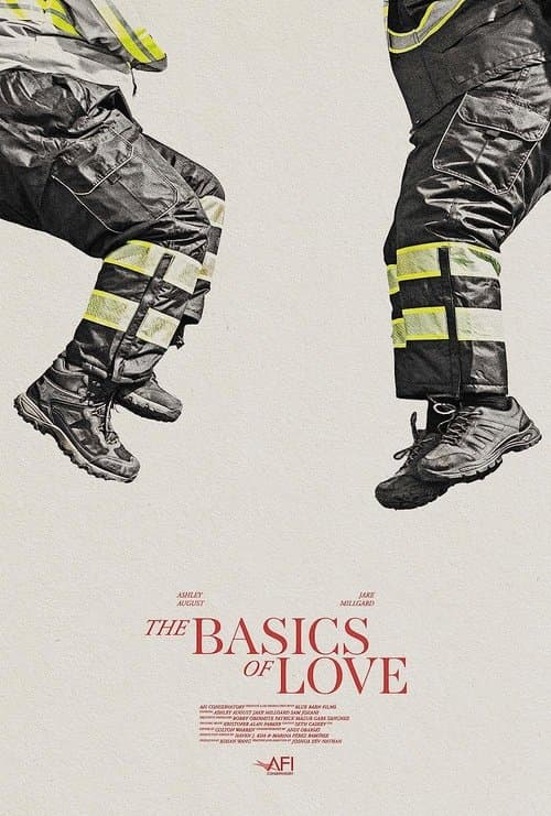 The Basics of Love poster
