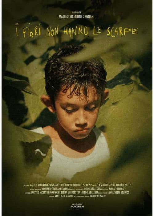 Flowers Wear No Shoes poster