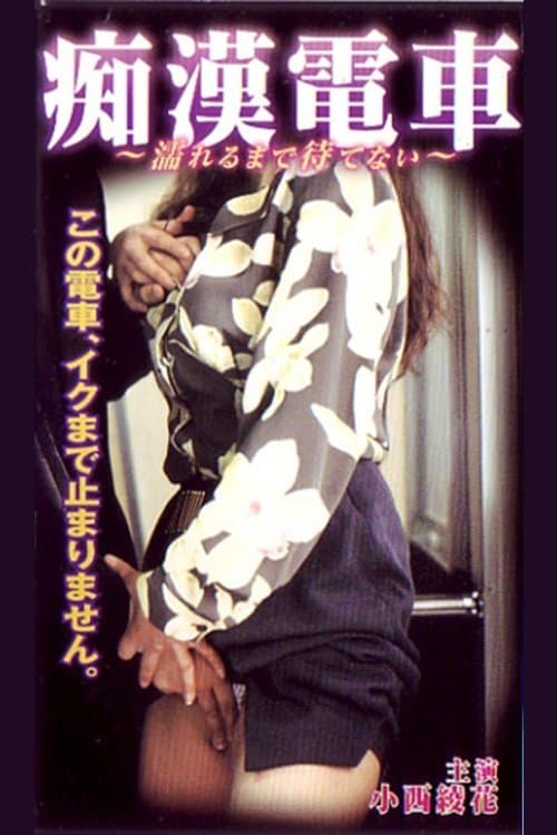 Groper Train: I Can't Wait Until I Get Wet poster