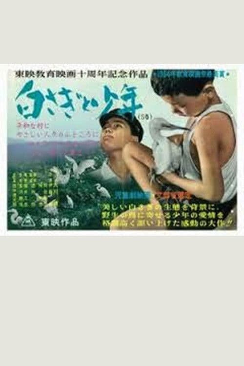 白さぎと少年 poster