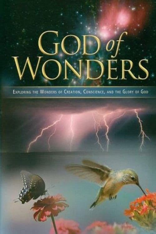 God of Wonders poster