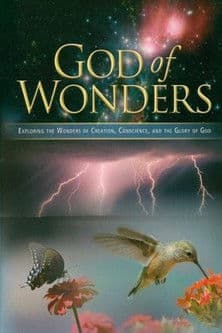 God of Wonders poster