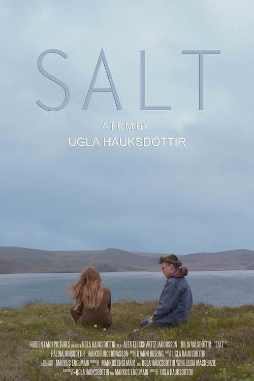 Salt poster