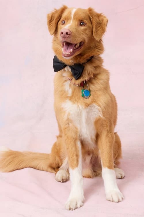Indy profile photo