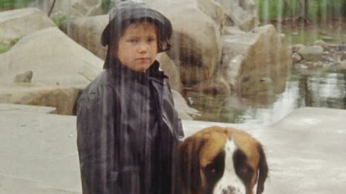 Året var 1964 poster