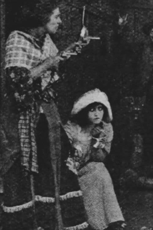 The Female Detective poster