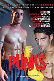Punks poster