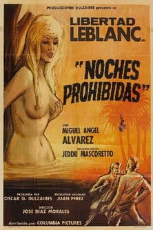 Noches prohibidas poster
