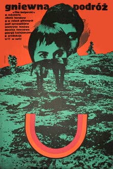 Wrathful Journey poster