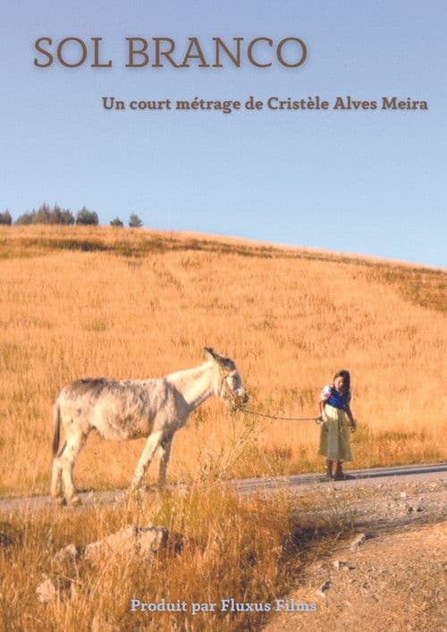 Sol Branco poster
