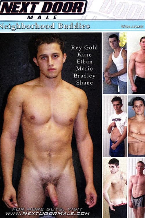 Neighborhood Buddies 5 poster