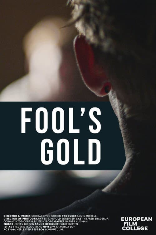 Fool's Gold poster