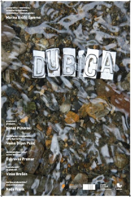 Dubica poster