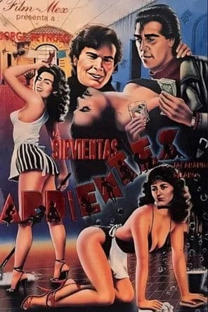 Servant's Day poster